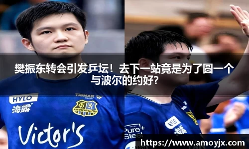 樊振东转会引发乒坛！去下一站竟是为了圆一个与波尔的约好？